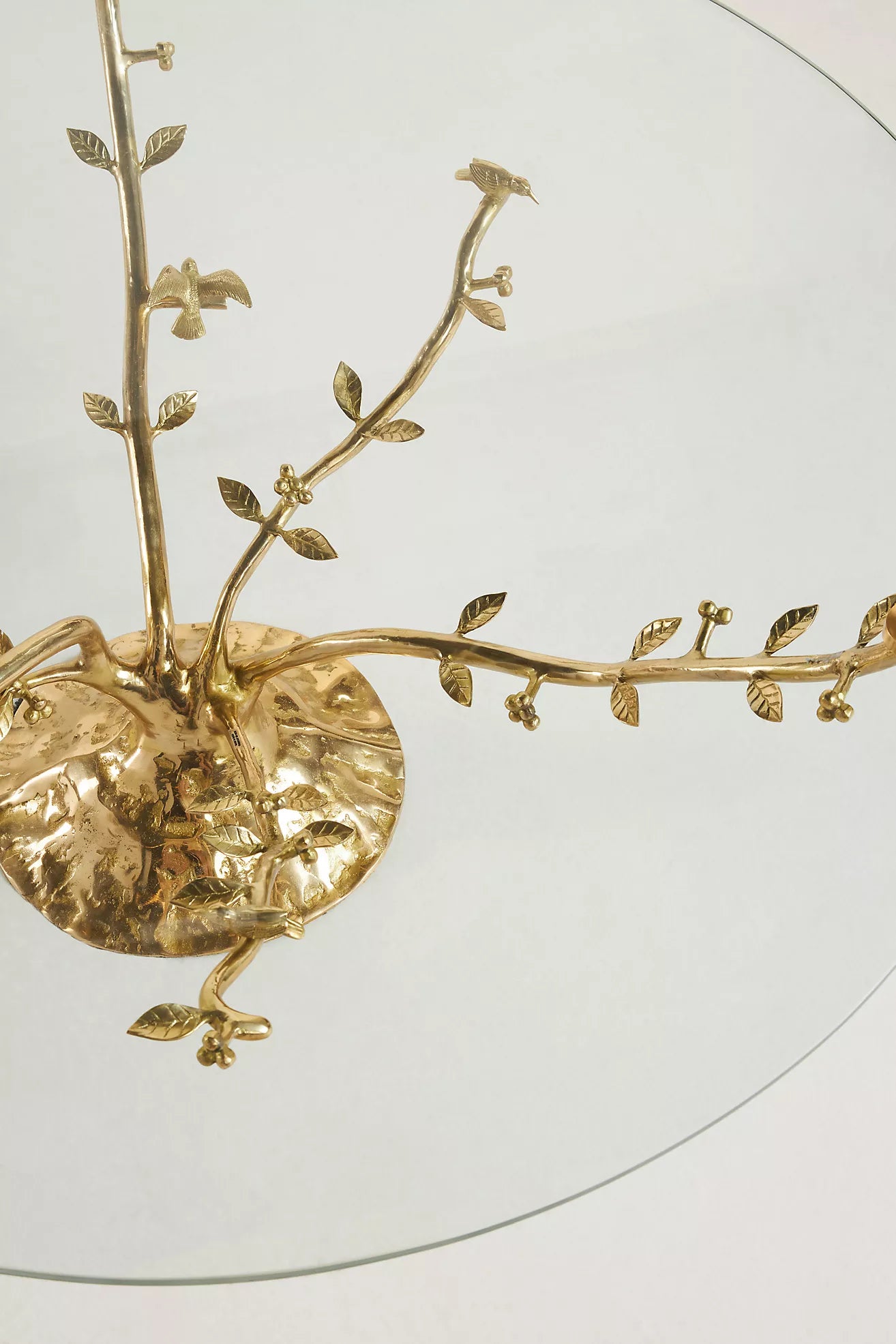 Tree Dwelling Glass Coffee Table