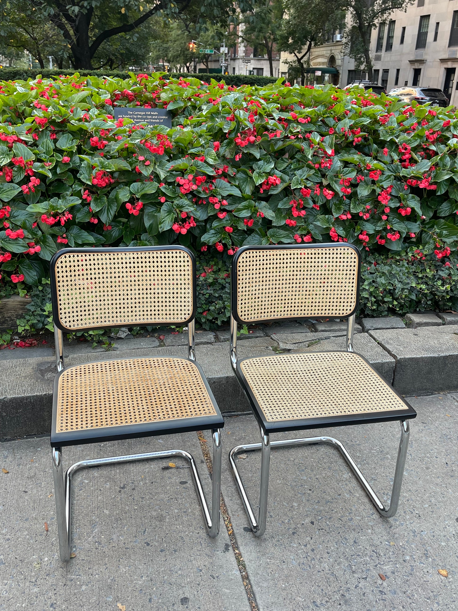 Modern Breuer Cane Cesca Chair