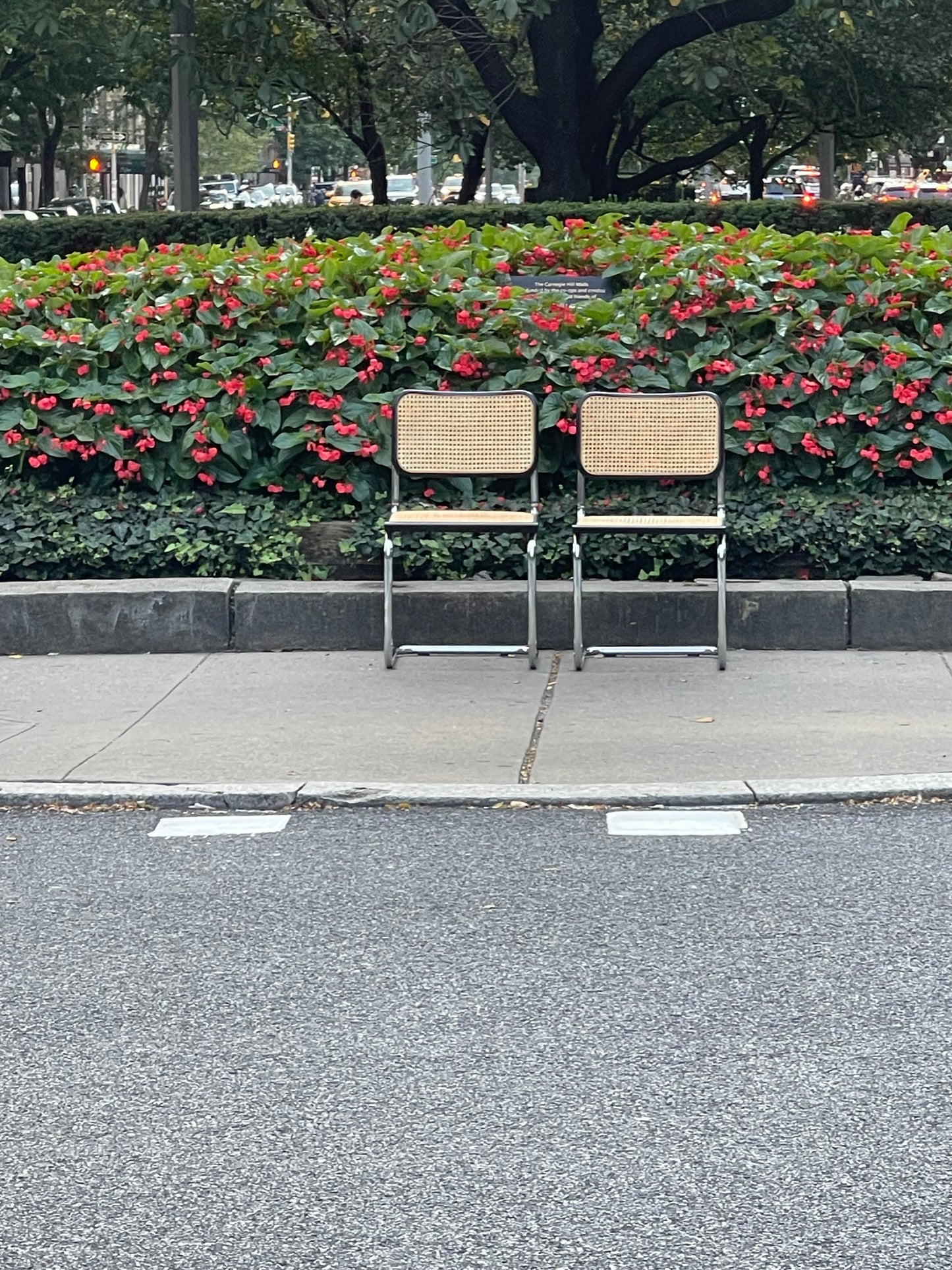Modern Breuer Cane Cesca Chair