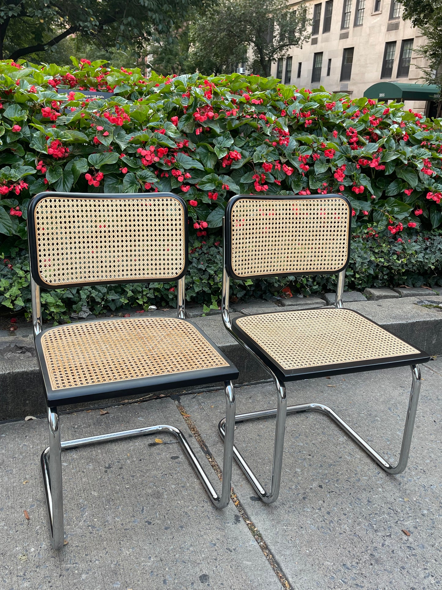 Modern Breuer Cane Cesca Chair