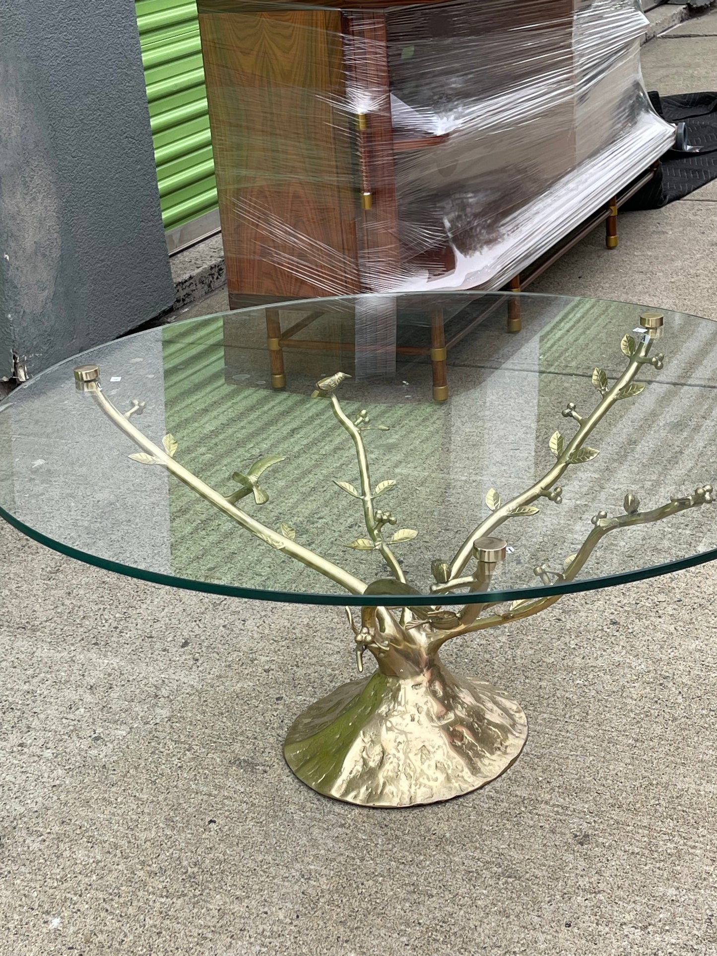 Tree Dwelling Glass Coffee Table