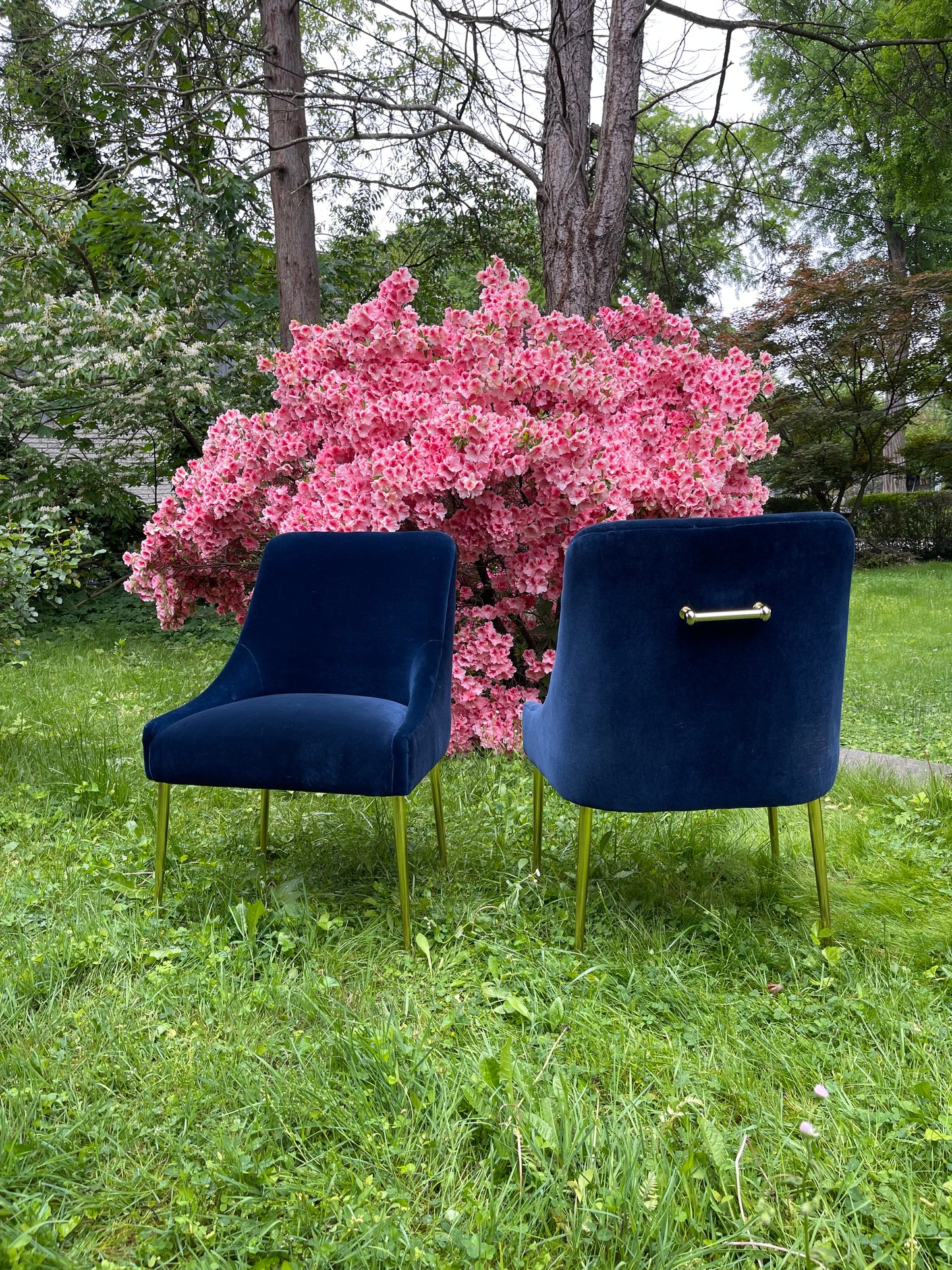 Navy Blue Velvet & Brass Dining Chair