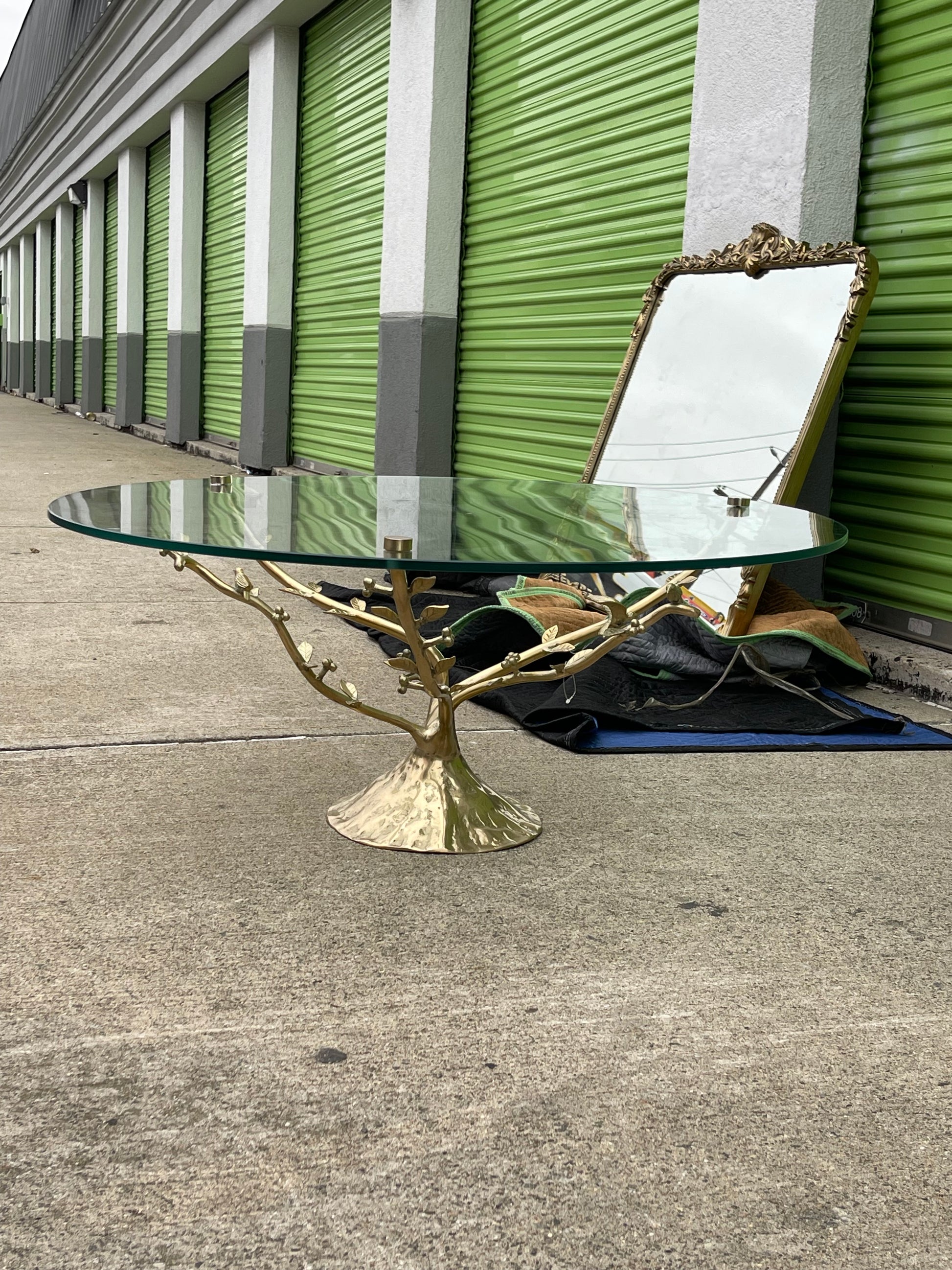 Tree Dwelling Glass Coffee Table