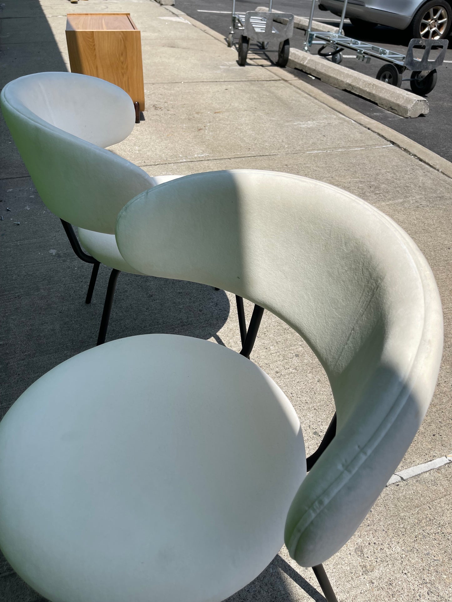 Mod Dining Chairs in Custard Velvet