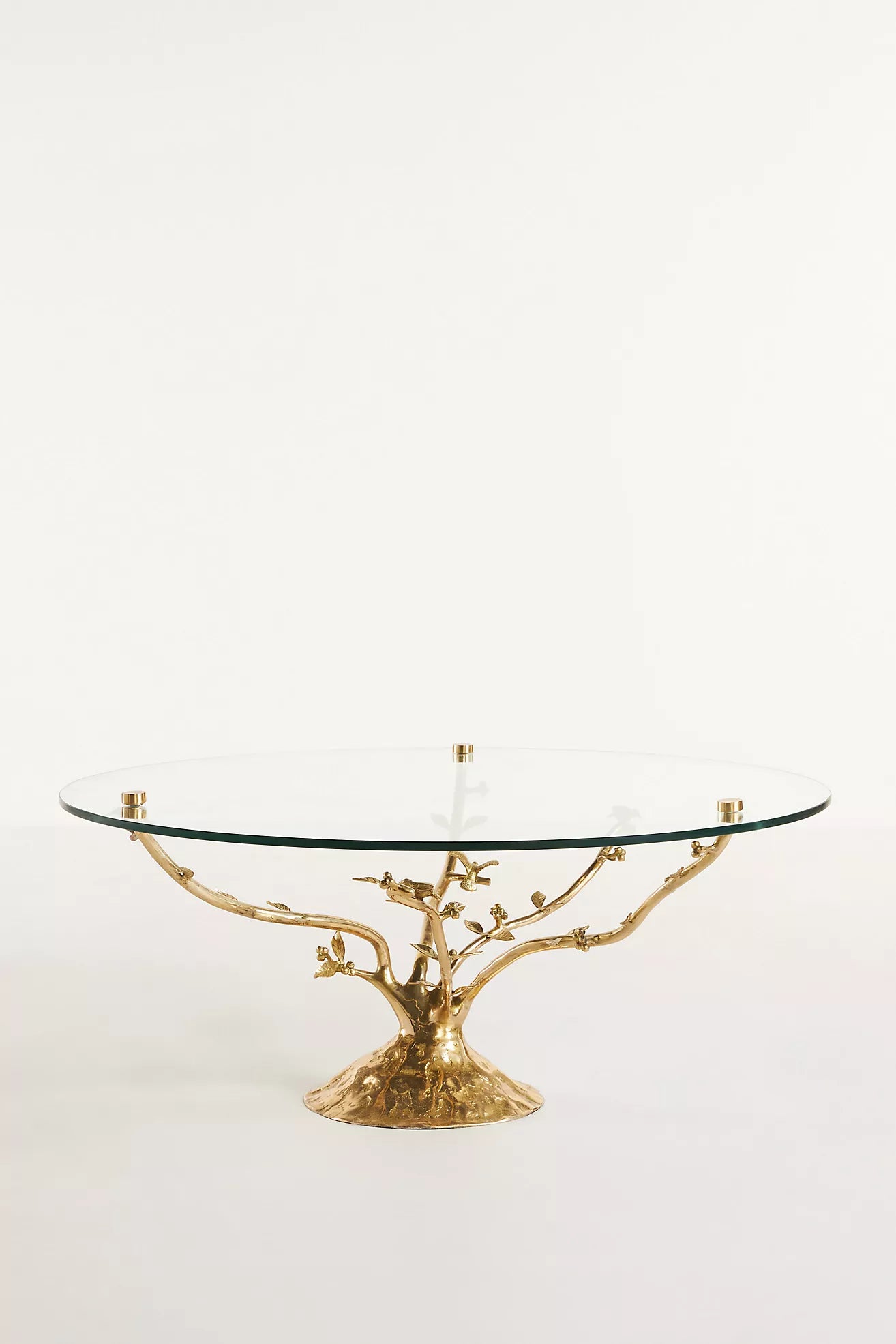 Tree Dwelling Glass Coffee Table