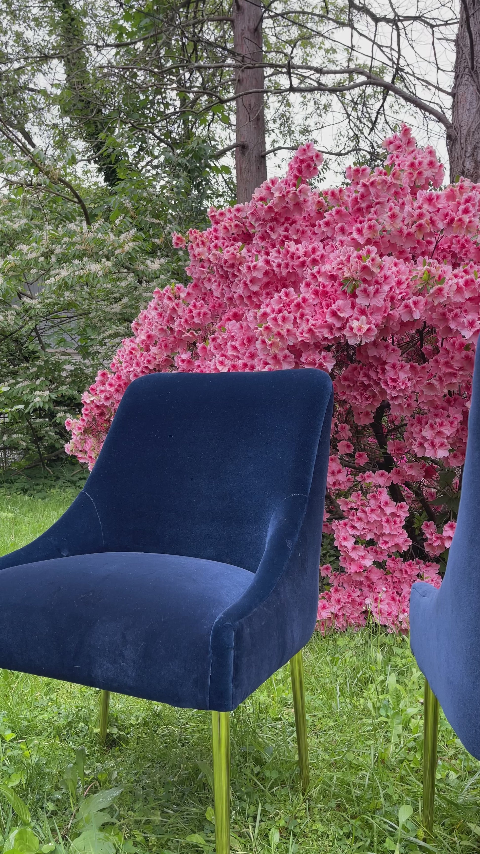 Navy Blue Velvet & Brass Dining Chair