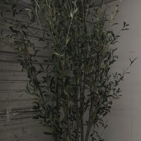 Faux Olive Tree