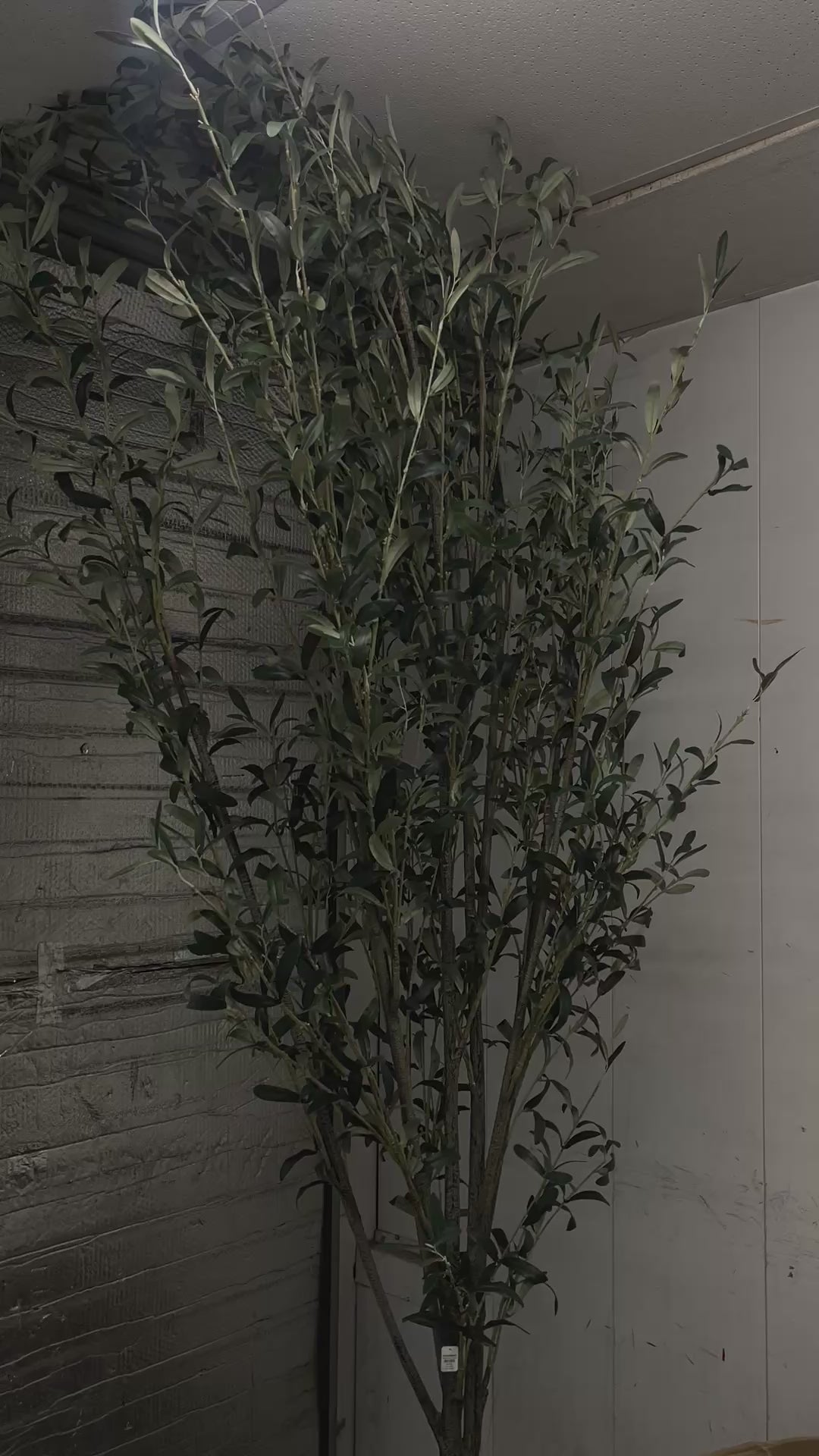 Faux Olive Tree